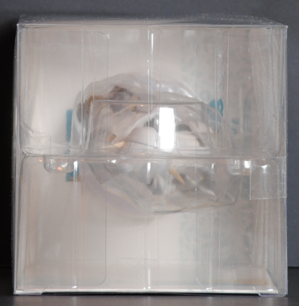 top of box