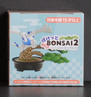 top of box